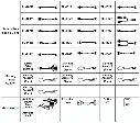 EV-Diagnosis-Add-On-Kit-included.webp